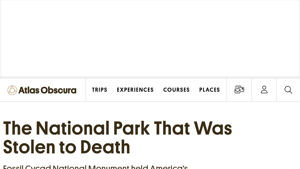 Screenshot of atlasobscura.com: The lost saga of Fossil Cycad National Monument (2017)