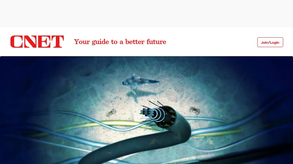 Screenshot of cnet.com: The Cables That Run the Internet