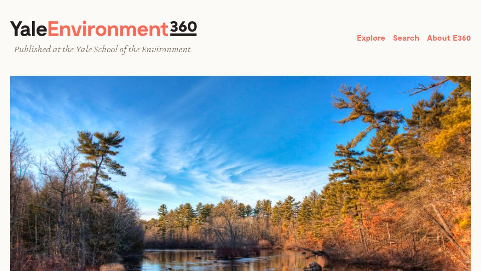 Screenshot of e360.yale.edu: Tree Keepers: Where Sustaining the Forest Is a Tribal Tradition