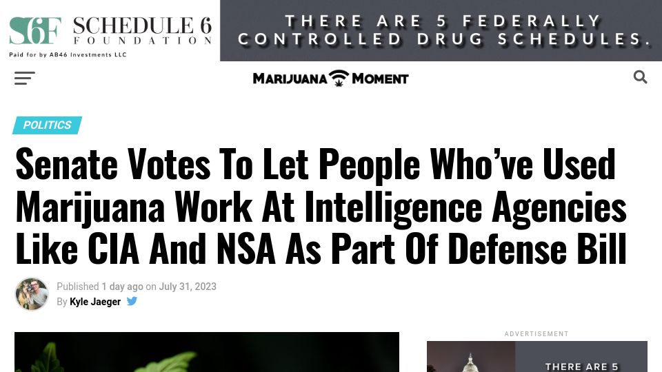 Screenshot of marijuanamoment.net: Senate Votes to Let People Who’ve Used Marijuana Work at Intelligence Agencies
