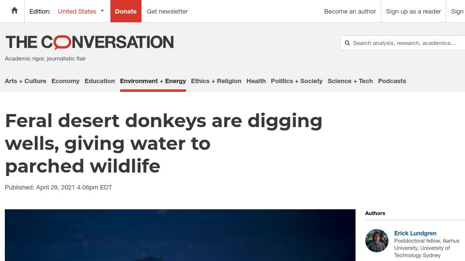 Screenshot of theconversation.com: Feral desert donkeys are digging wells, giving water to parched wildlife (2021)