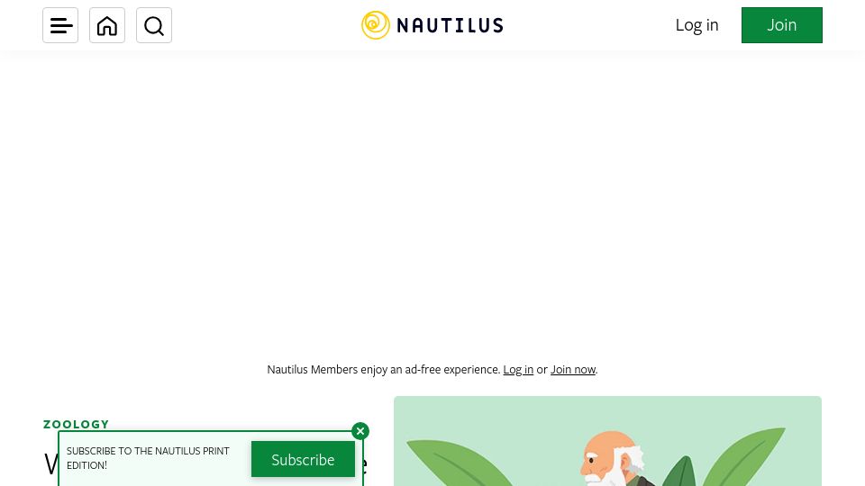 Screenshot of nautil.us: Why Darwin admired the earthworm