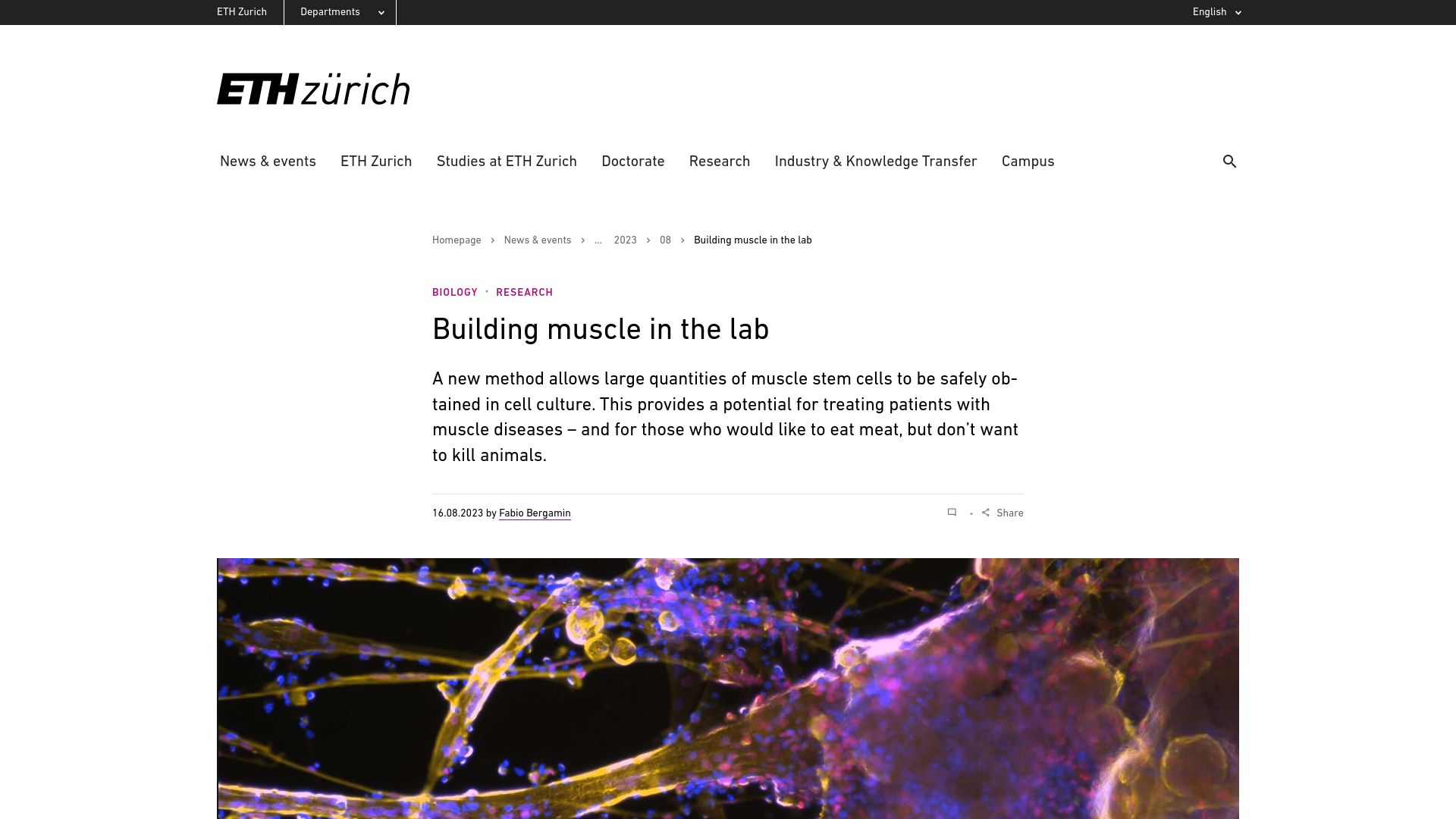 Screenshot of ethz.ch: Building Muscle in the Lab