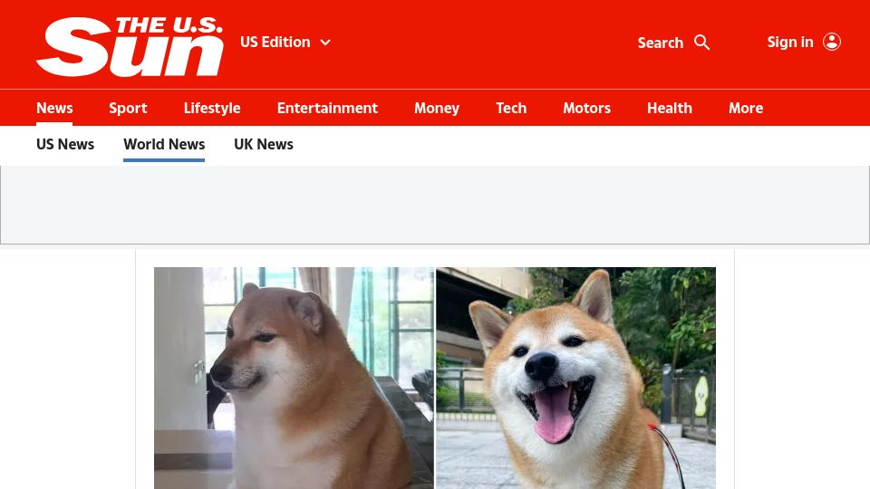 Screenshot of the-sun.com: Cheems, the Shiba Inu meme dog, has died