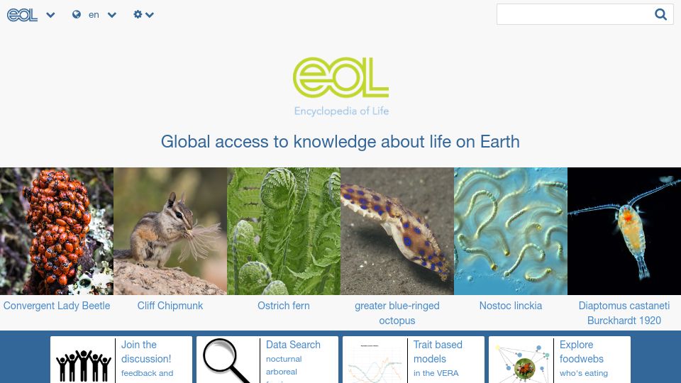 Screenshot of eol.org: Encyclopedia of Life