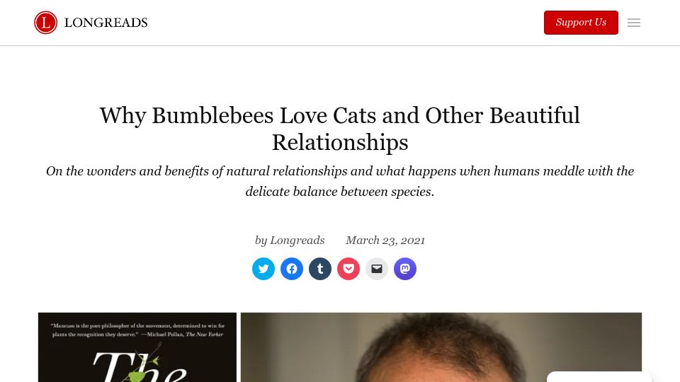 Screenshot of longreads.com: Why bumblebees love cats and other beautiful relationships (2021)