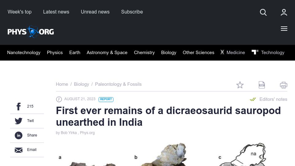 Screenshot of phys.org: First ever remains of a dicraeosaurid sauropod unearthed in India