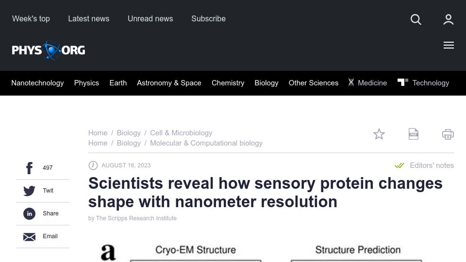 Screenshot of phys.org: Scientists reveal how sensory protein changes shape with nanometer resolution