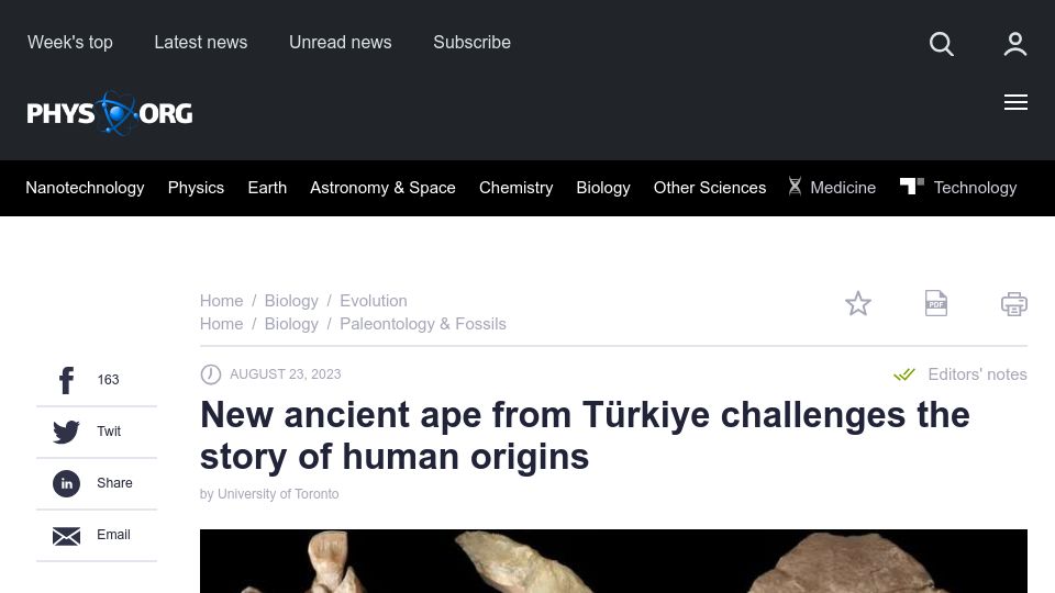 Screenshot of phys.org: New ancient ape from Türkiye challenges the story of human origins