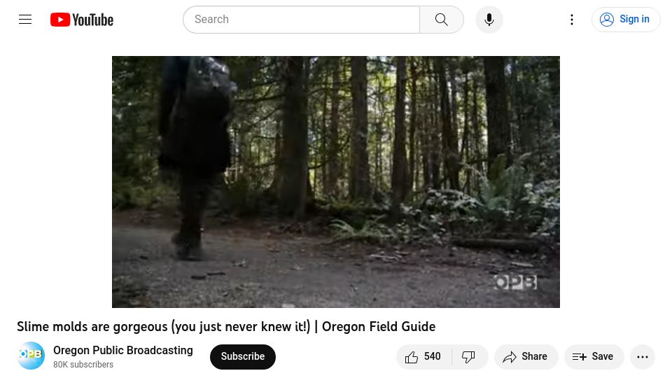 Screenshot of youtube.com: Slime Molds [video]