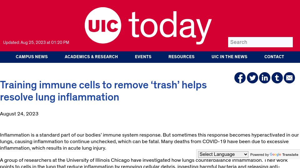 Screenshot of today.uic.edu: Training immune cells to remove ‘trash’ helps resolve lung inflammation