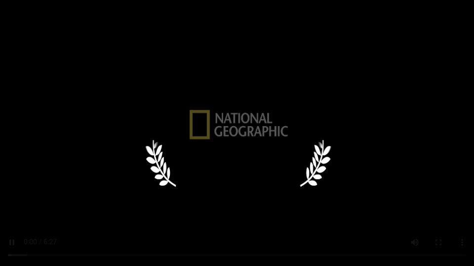 Screenshot of pmdvod.nationalgeographic.com: A video of the transformation of a single cell into a salamander