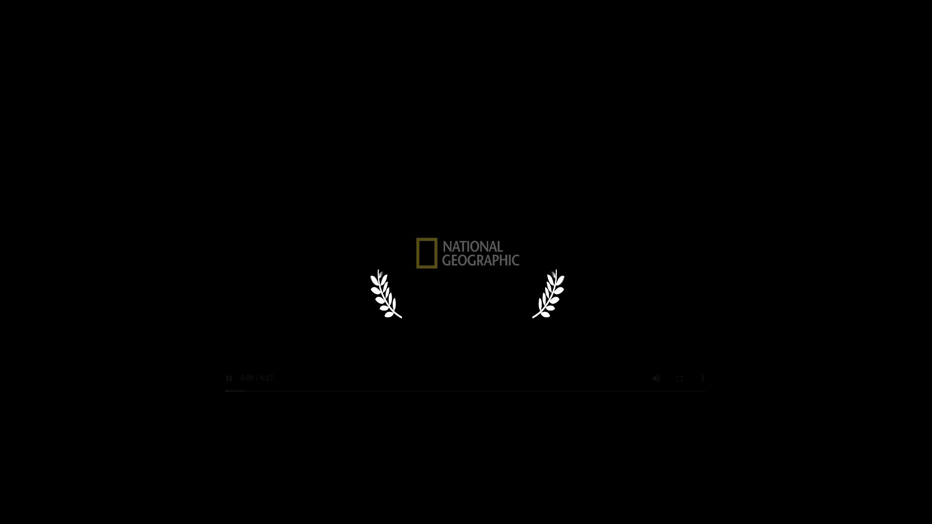 Screenshot of pmdvod.nationalgeographic.com: A video of the transformation of a single cell into a salamander