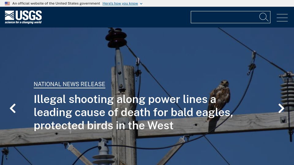 Screenshot of usgs.gov: Illegal shooting along power lines a leading cause of death for bald eagles