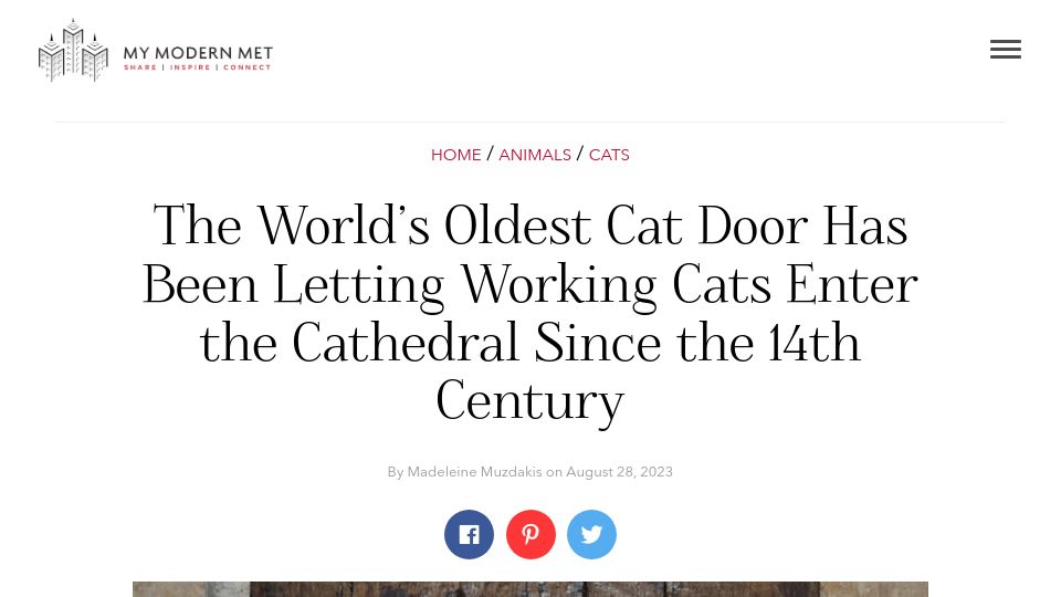 Screenshot of mymodernmet.com: World’s Oldest Cat Door Has Let Working Cats Enter the Cathedral Since 14c