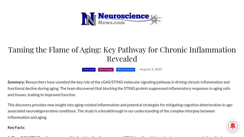 Screenshot of neurosciencenews.com: Taming the Flame of Aging: Key Pathway for Chronic Inflammation Revealed