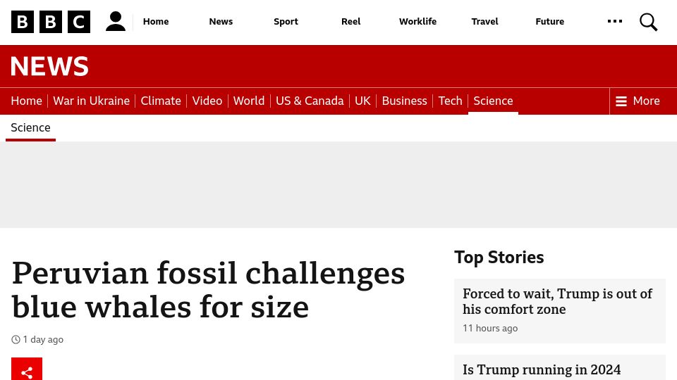 Screenshot of bbc.co.uk: Peruvian fossil challenges blue whales for size