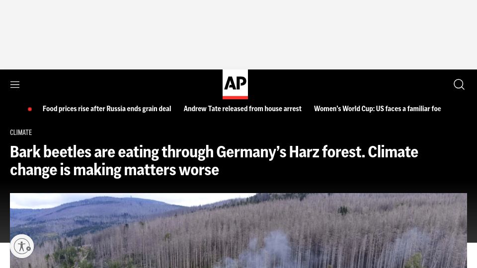 Screenshot of apnews.com: Bark beetles are eating through Germany’s Harz forest
