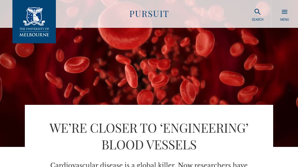 Screenshot of pursuit.unimelb.edu.au: We’re closer to ‘engineering’ blood vessels