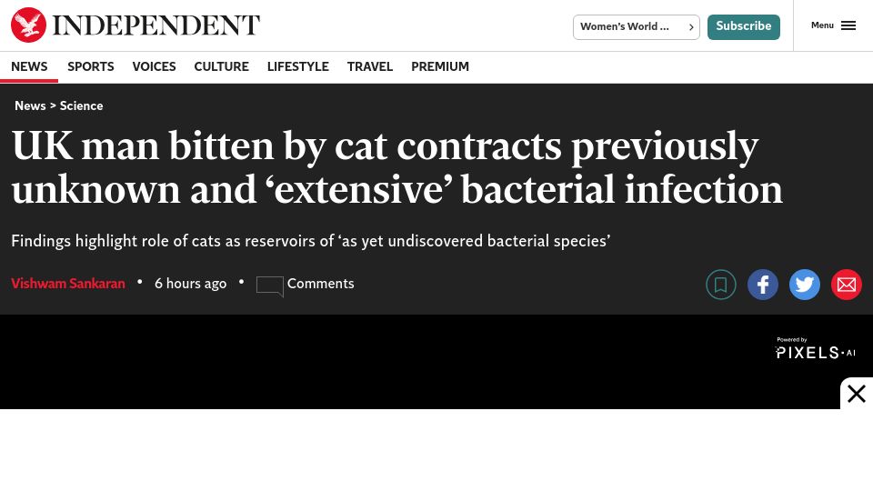 Screenshot of independent.co.uk: UK man bitten by cat contracts unknown and ‘extensive’ bacterial infection