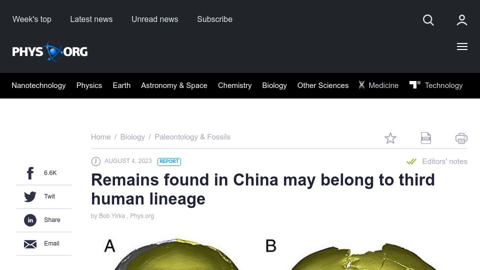 Screenshot of phys.org: Remains found in China may belong to third human lineage