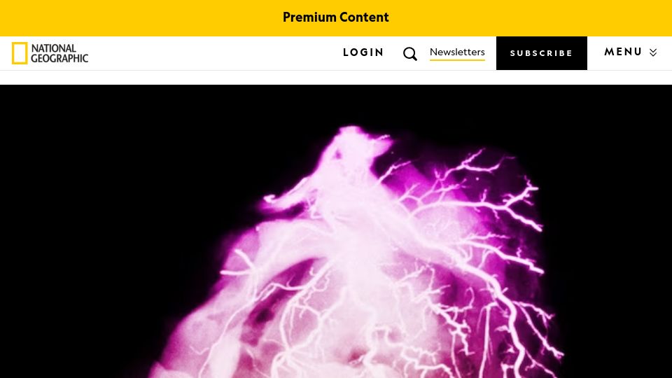 Screenshot of nationalgeographic.com: Why heart attacks are rising in young adults and what to watch out for