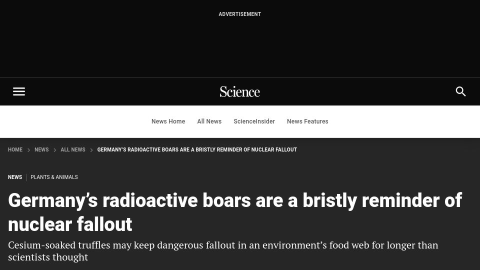Screenshot of science.org: Germany’s radioactive boars are a bristly reminder of nuclear fallout