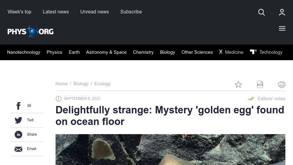 Screenshot of phys.org: Mystery 'golden egg' found on ocean floor