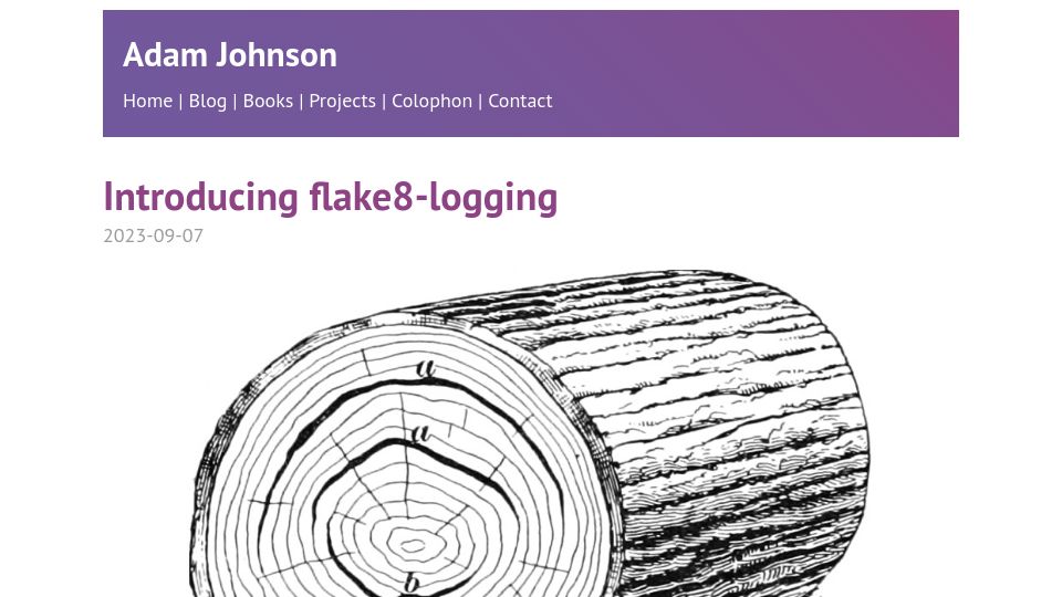 Screenshot of adamj.eu: Flake8-Logging