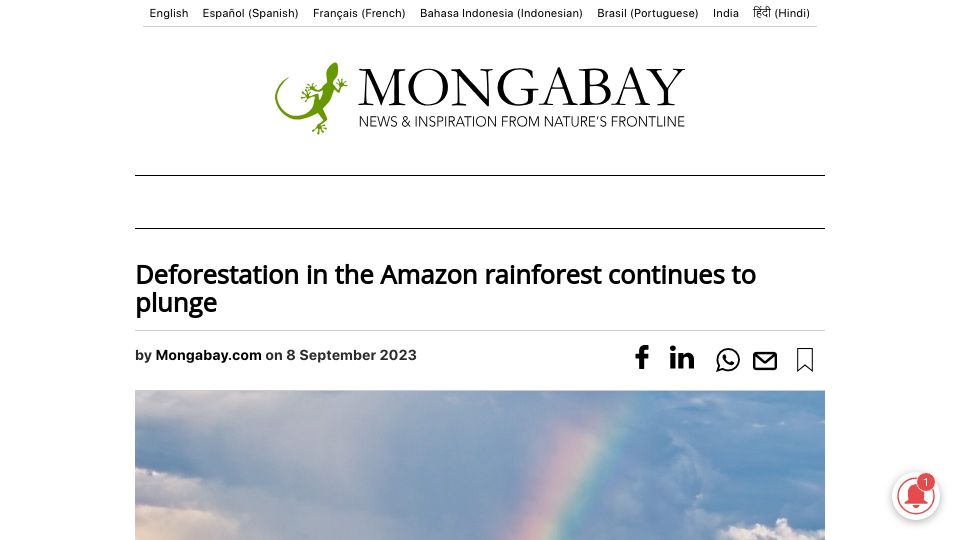 Screenshot of news.mongabay.com: Deforestation in the Amazon rainforest continues to decline