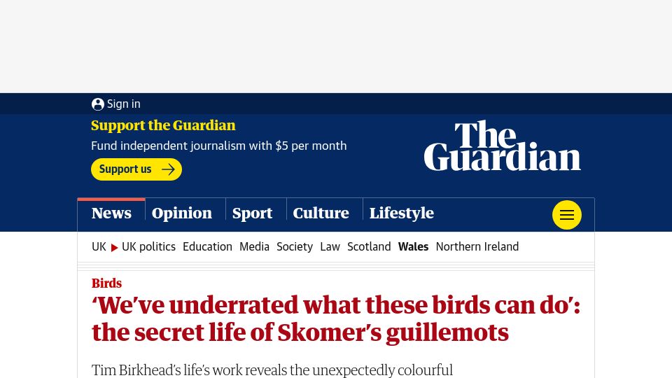 Screenshot of theguardian.com: We've underrated what these birds can do: the secret life of Skomer’s guillemots