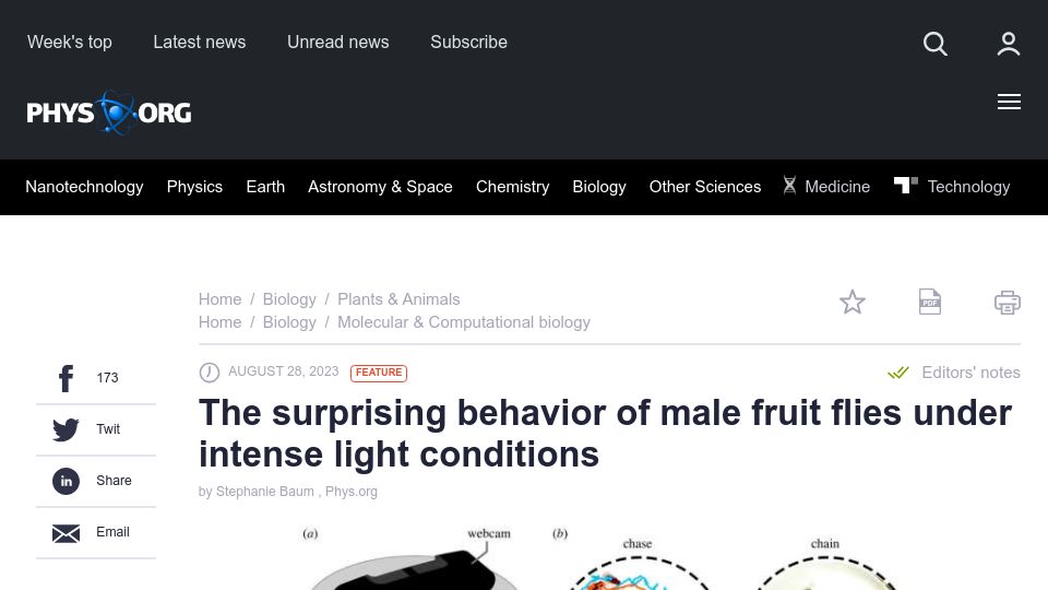 Screenshot of phys.org: The surprising behavior of male fruit flies under intense light conditions