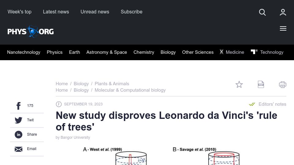 Screenshot of phys.org: New study disproves Leonardo da Vinci's 'rule of trees'