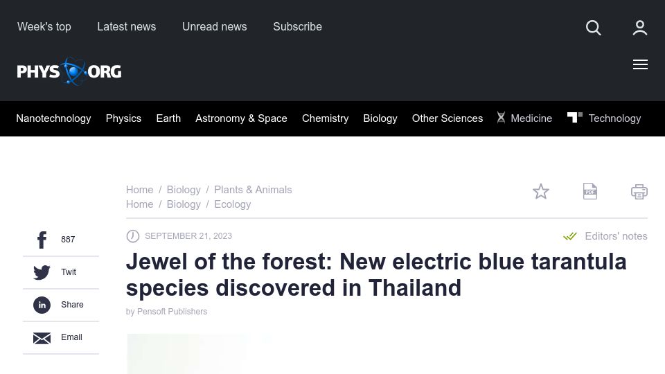 Screenshot of phys.org: New tarantula species discovered in Thailand