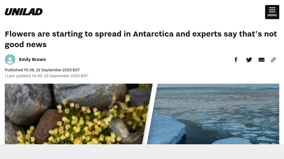 Screenshot of unilad.com: Flowers are starting to spread in Antarctica and experts say it's not good news
