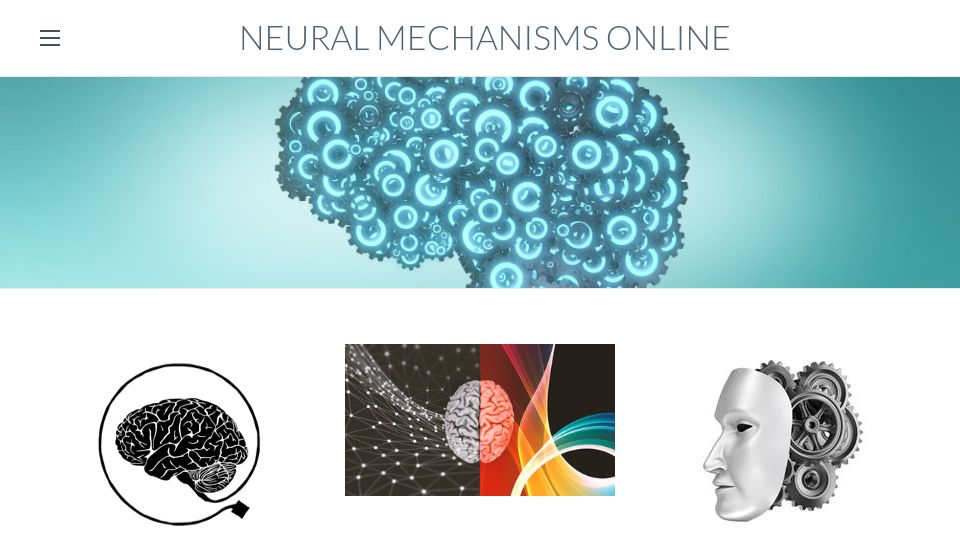 Screenshot of neuralmechanisms.org: A beginner's guide to neural mechanisms