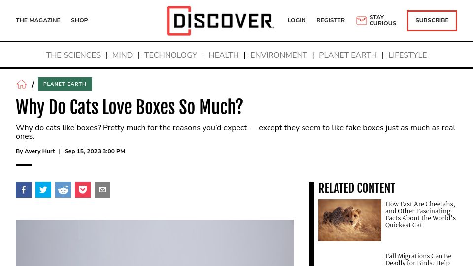 Screenshot of discovermagazine.com: Why do cats love boxes so much?