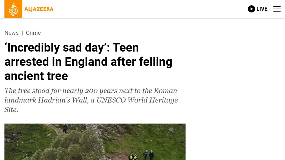 Screenshot of aljazeera.com: Teen arrested in England after felling ancient tree