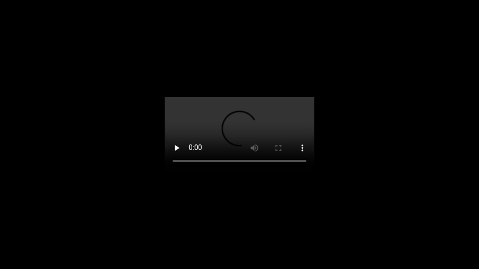 Screenshot of audio-video.gnu.org: Richard Stallman reveals he has cancer in the GNU 40 Hacker Meeting talk [video]