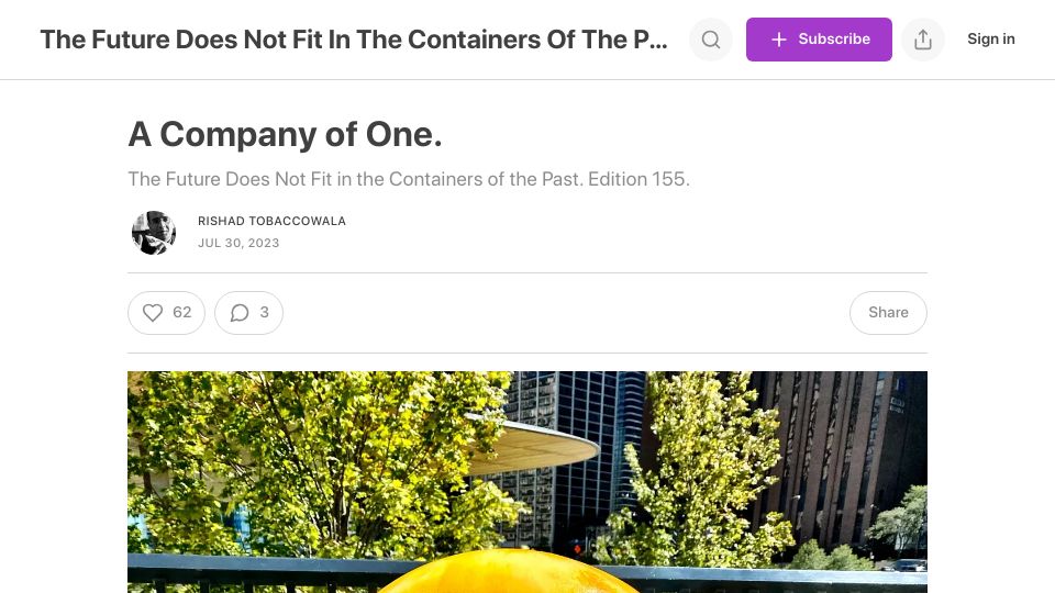 Screenshot of rishad.substack.com: A Company of One