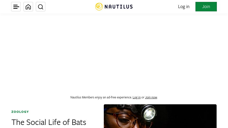 Screenshot of nautil.us: The Social Life of Bats
