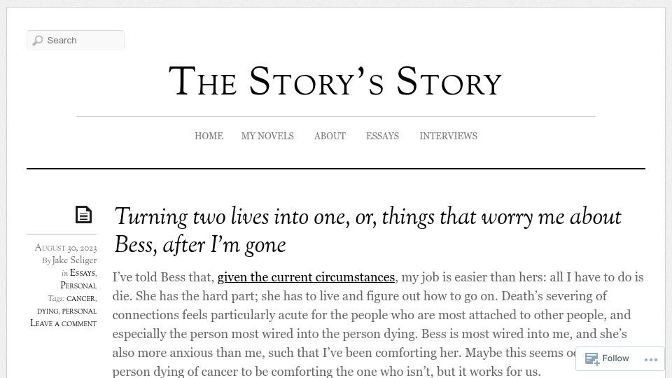Screenshot of jakeseliger.com: Turning two lives into one, or, things that worry me about Bess, after I’m gone
