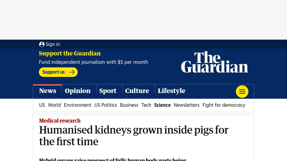 Screenshot of theguardian.com: Humanised kidneys grown inside pigs for the first time