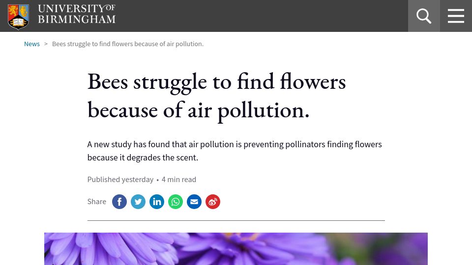 Screenshot of birmingham.ac.uk: Bees struggle to find flowers because of air pollution