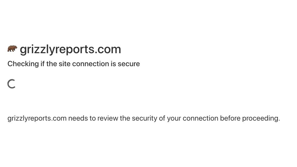 Screenshot of grizzlyreports.com: TEMU Is Cleverly Hidden Spyware That Poses an Urgent Security Threat to U.S.