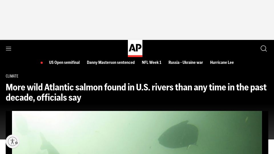 Screenshot of apnews.com: More wild Atlantic salmon found in U.S. rivers than any time in the past decade