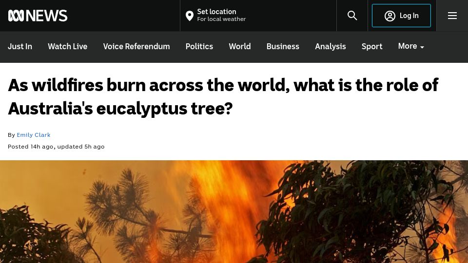 Screenshot of abc.net.au: As wildfires burn across the world, what is the role of Australia's eucalyptus?