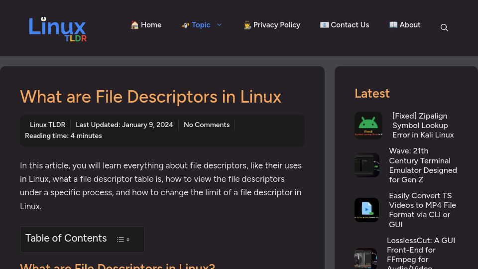 Screenshot of linuxtldr.com: What Are File Descriptors in Linux