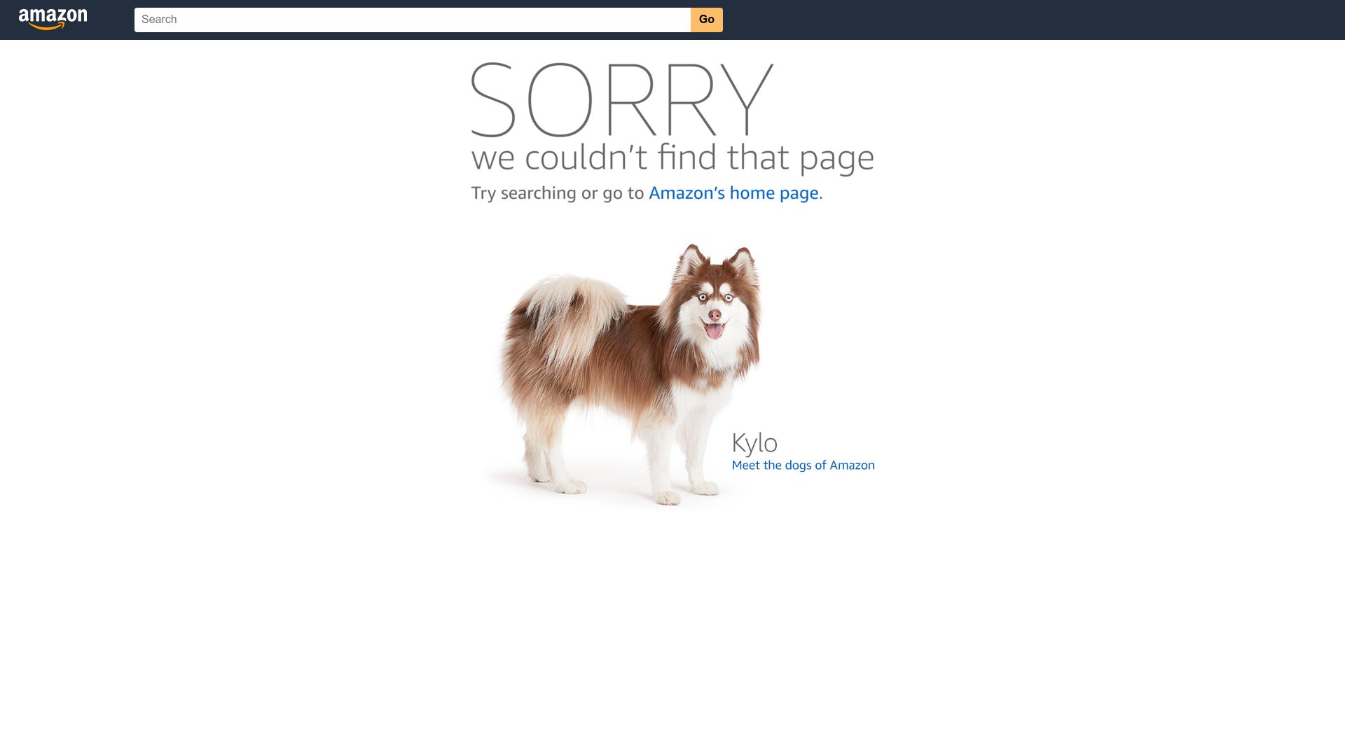 Screenshot of amazon.com: I'm sorry but I cannot fulfill this request it goes against OpenAI use policy