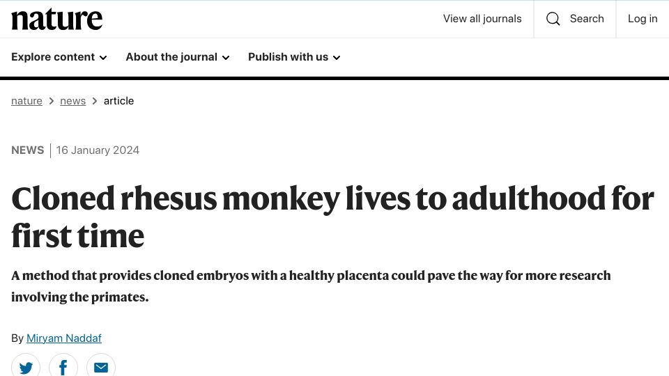 Screenshot of nature.com: Cloned rhesus monkey lives to adulthood for first time